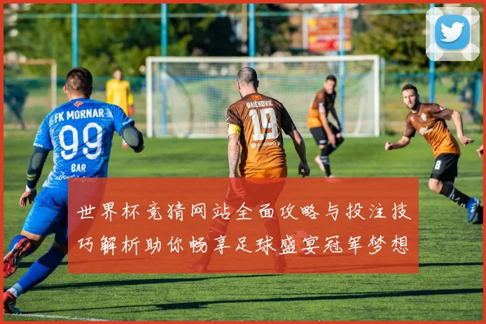 世界杯竞猜网站全面攻略与投注技巧解析助你畅享足球盛宴冠军梦想之路