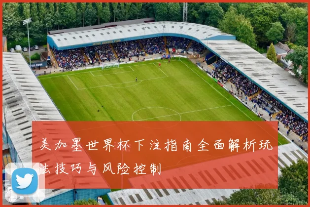 美加墨世界杯下注指南全面解析玩法技巧与风险控制