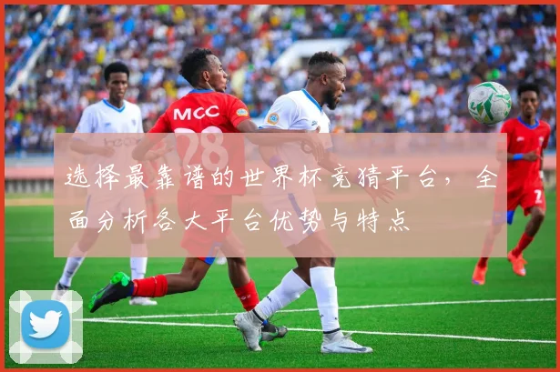 选择最靠谱的世界杯竞猜平台，全面分析各大平台优势与特点