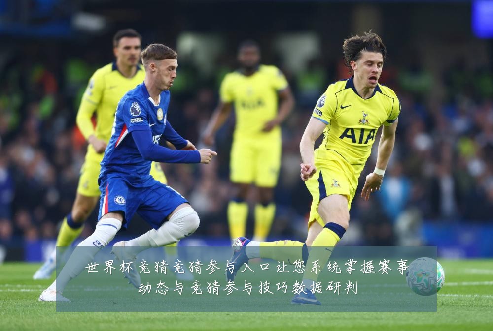 世界杯竞猜竞猜参与入口让您系统掌握赛事动态与竞猜参与技巧数据研判