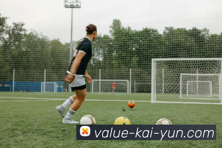 开云官网全站App